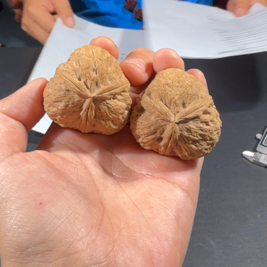 文玩核桃把件75号元宝三棱