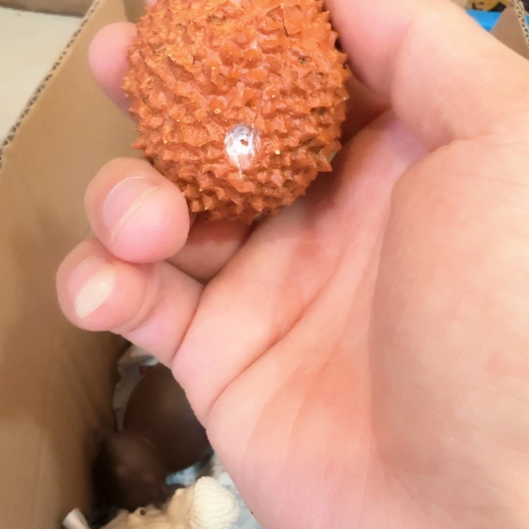 紫砂茶宠雕塑瑕疵茶宠