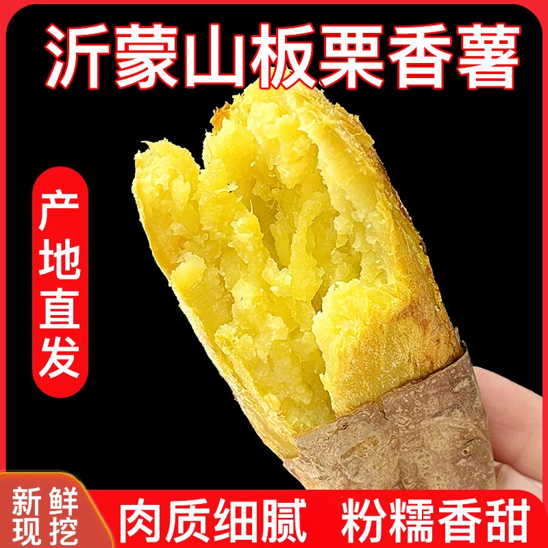 T山东沙地板栗红薯软糯香甜黄心红薯新鲜地瓜现挖农家番薯