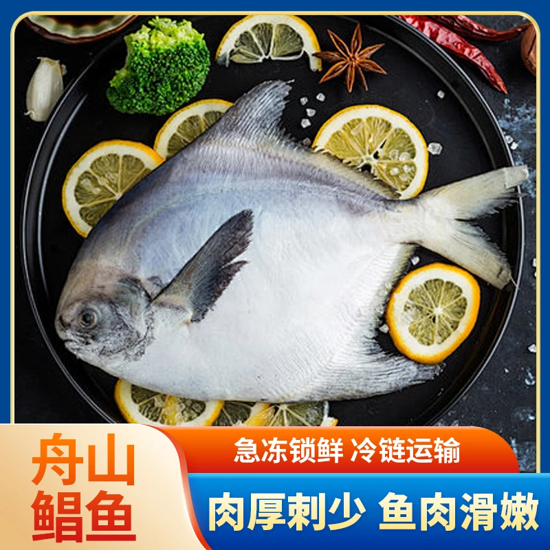 舟山银鲳鱼无冰衣舟山直发顺丰冷链包邮一斤6条