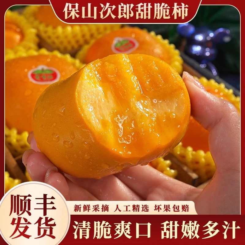 【顺丰特快】云南保山次郎甜脆柿大果新鲜应季水果脆甜多汁精选礼盒