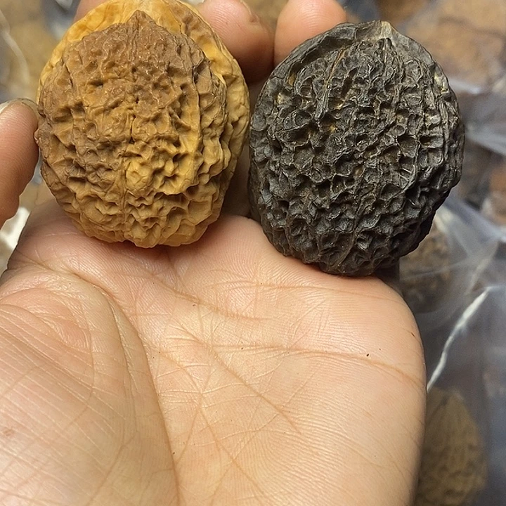 文玩核桃把件云南铁核桃11