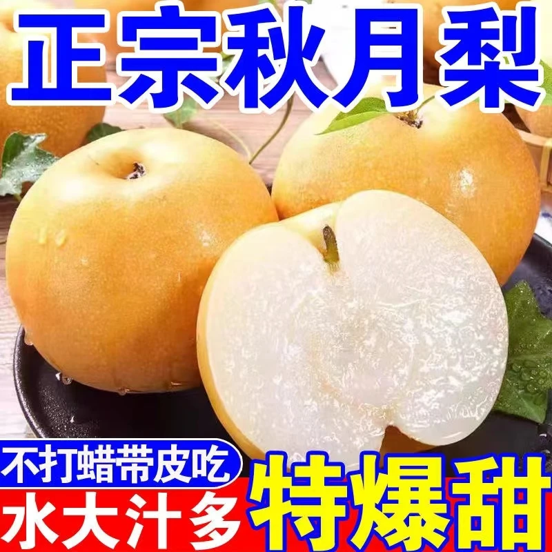 正宗莱阳秋月梨新鲜当季水果脆甜多汁皮薄细嫩化渣产地新鲜直发