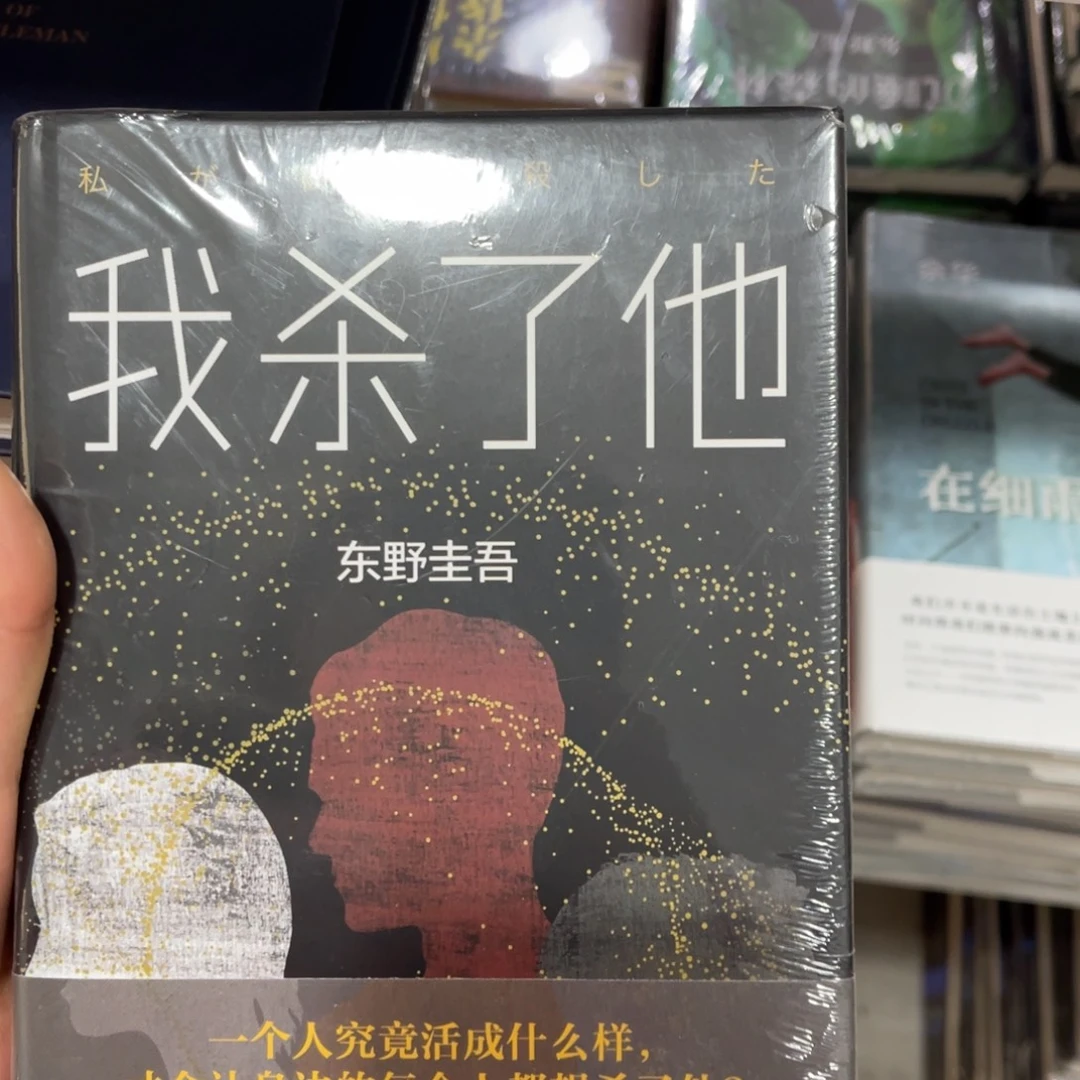 我杀了他精装一个