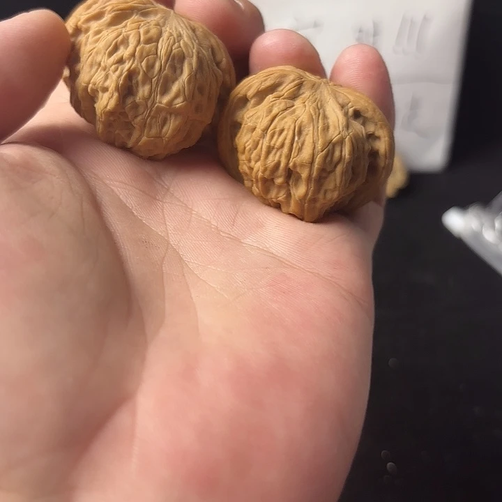 大叶紫檀（黑酸枝木类）11111111