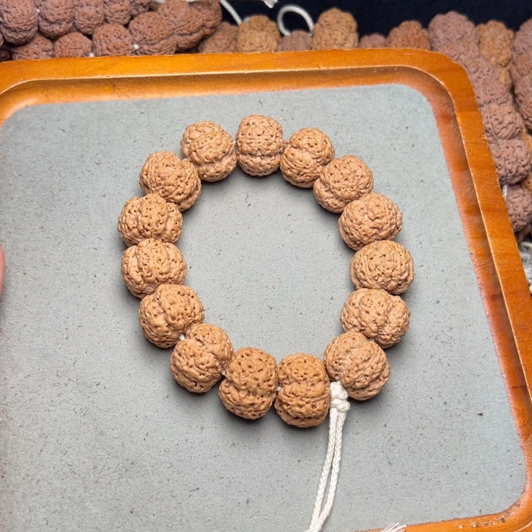 菩提17号金刚菩提梁梅花23