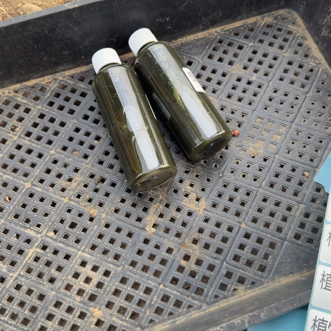 *****营养液3瓶。多肉植物