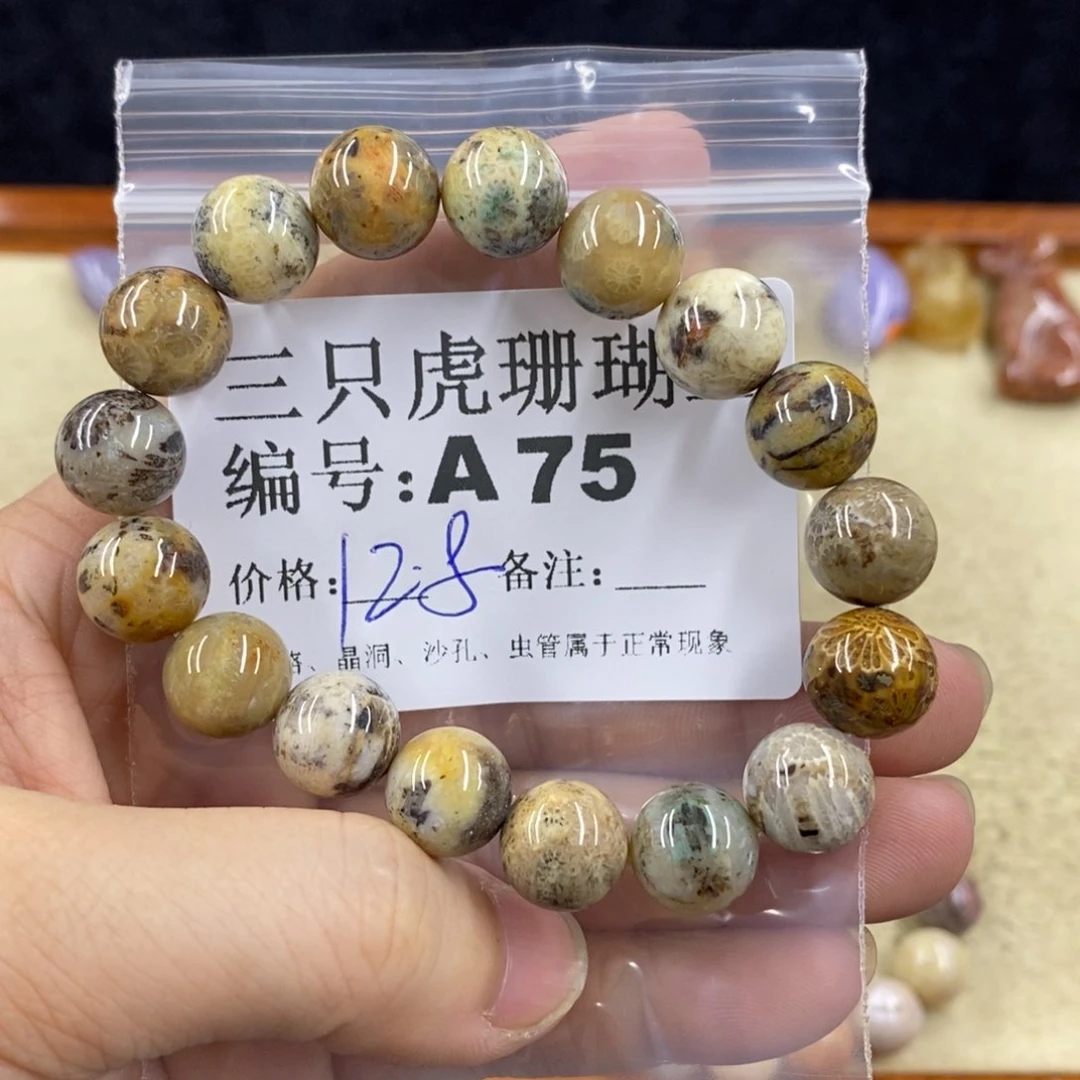 硅化珊瑚（珊瑚玉）1未镶嵌龙***里