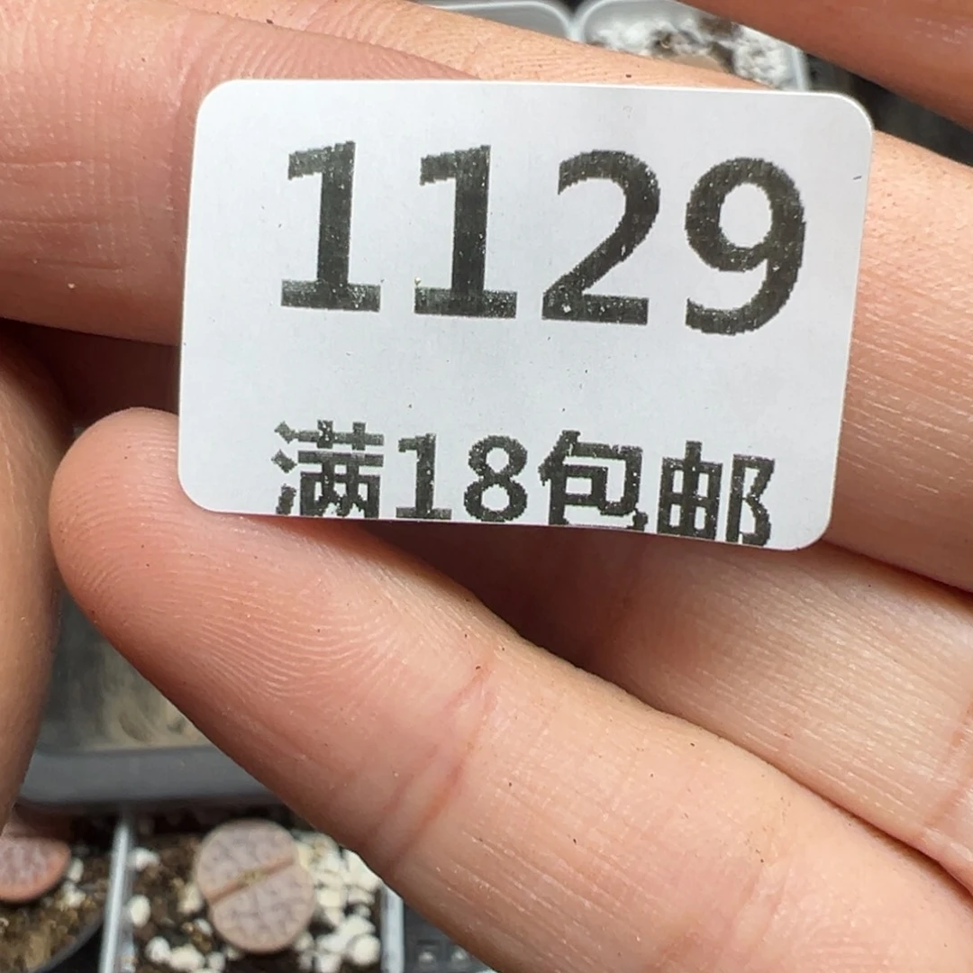 【闪购商品】用****71129……