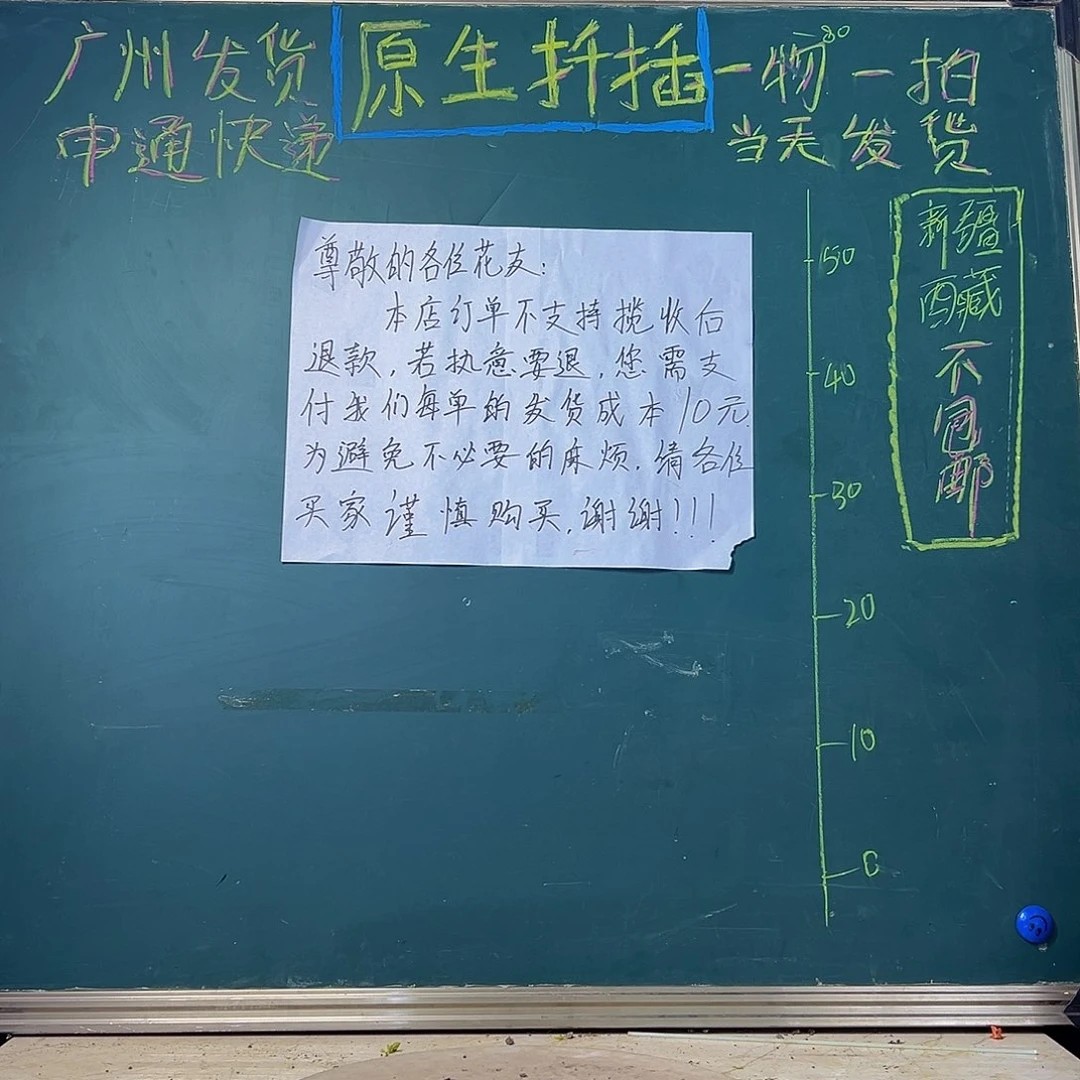 当前无花栽培后可以开花福利 苏瓦娜  980