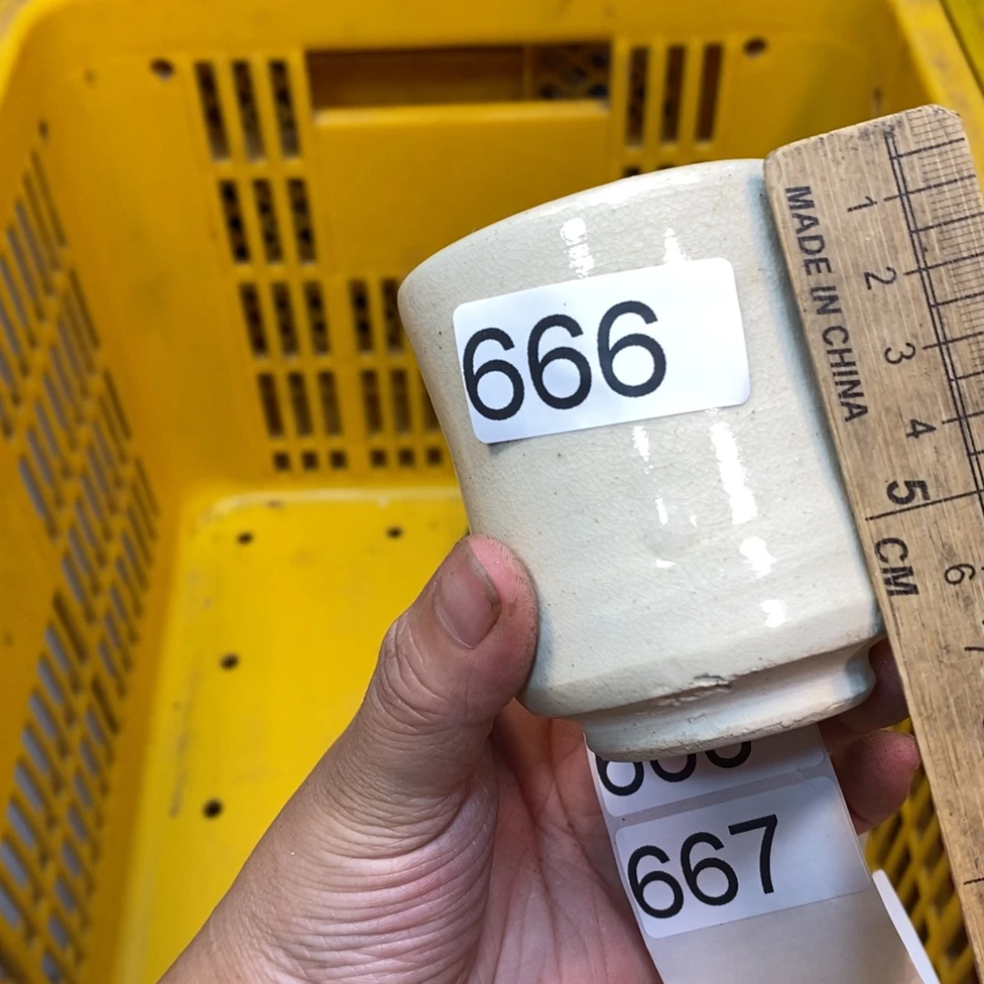 家里了家里了斤斤计较