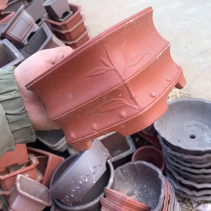 紫砂我要不就是你一