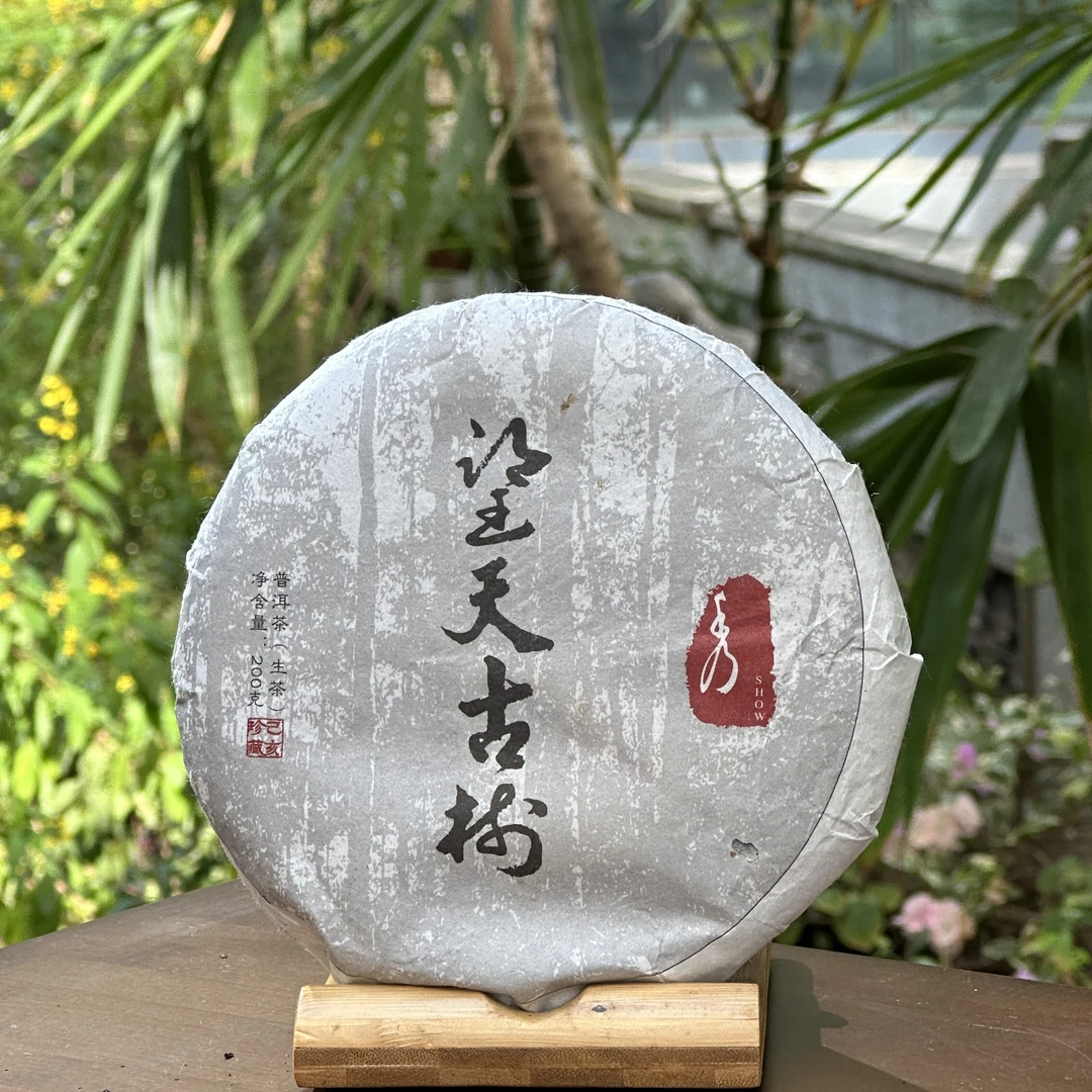修享 2019年 望天古树 普洱生茶