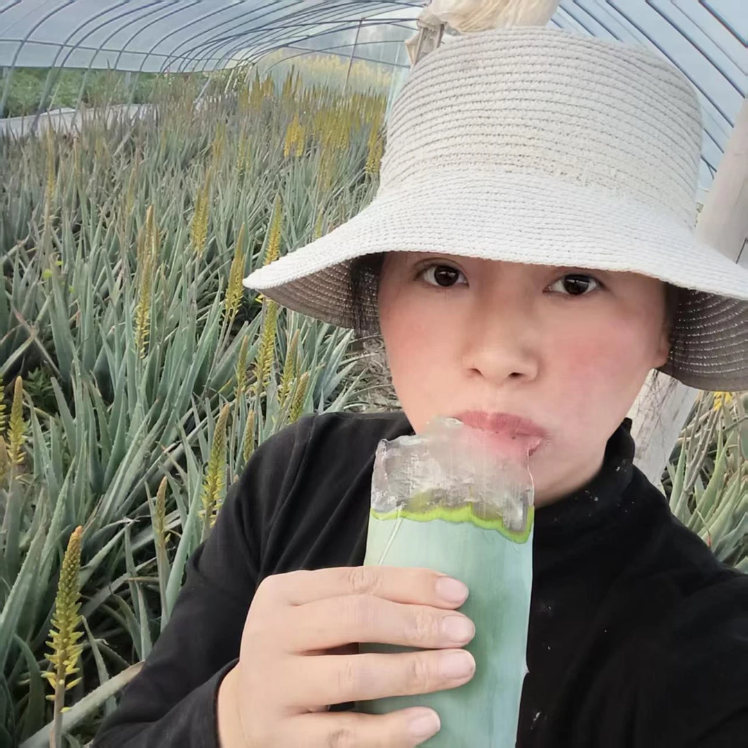 食用芦荟饭店直播间吃播推荐肥厚优质大叶片库拉索芦荟叶片
