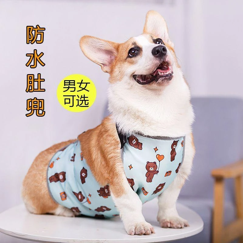 A柯基肚兜防脏狗狗衣服护肚子防着凉防水雨衣宠物夏季薄款
