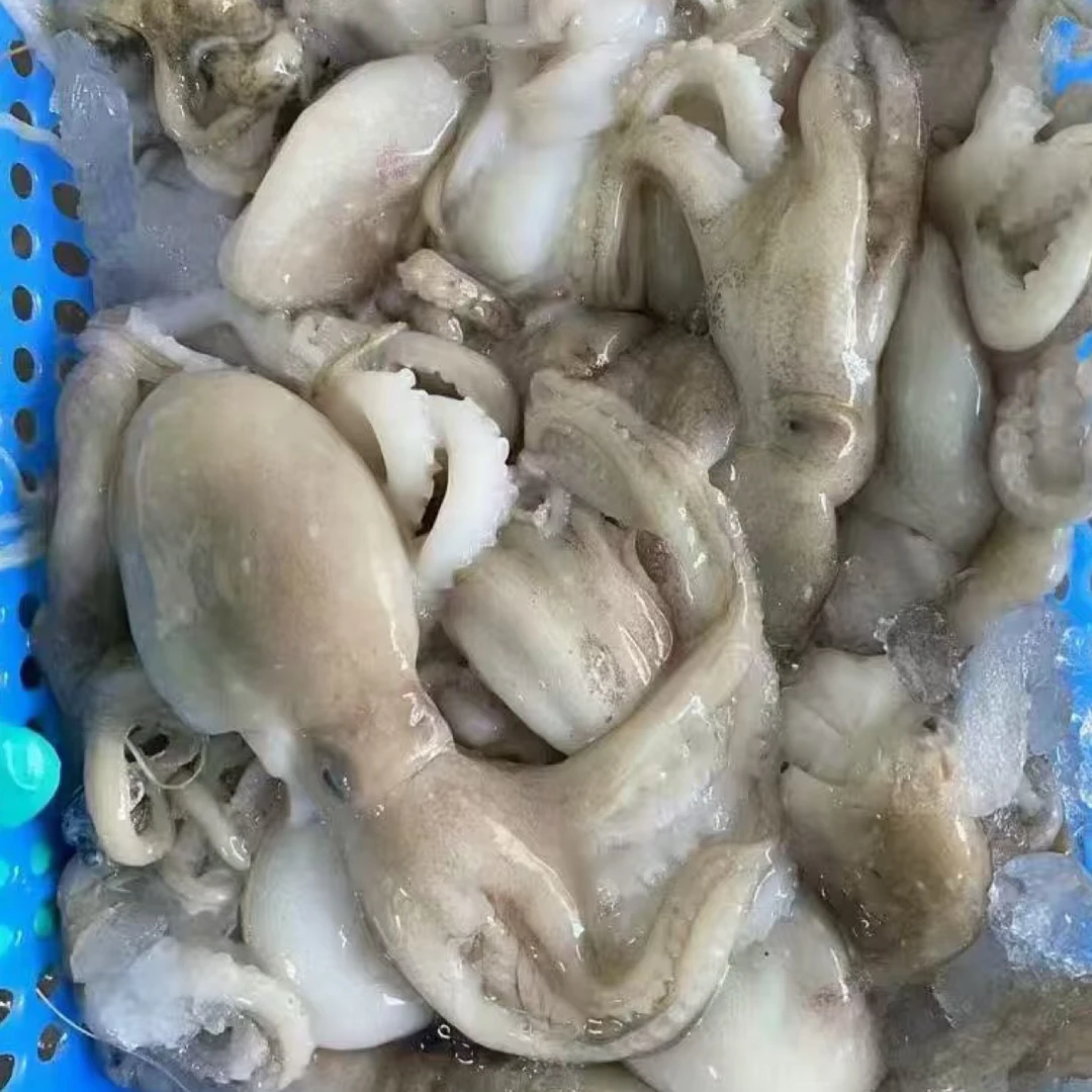 ［同城闪送］干水八爪鱼