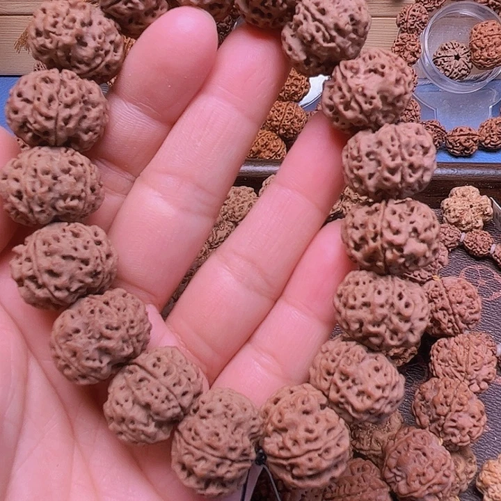 金刚菩提手串L186/21/5