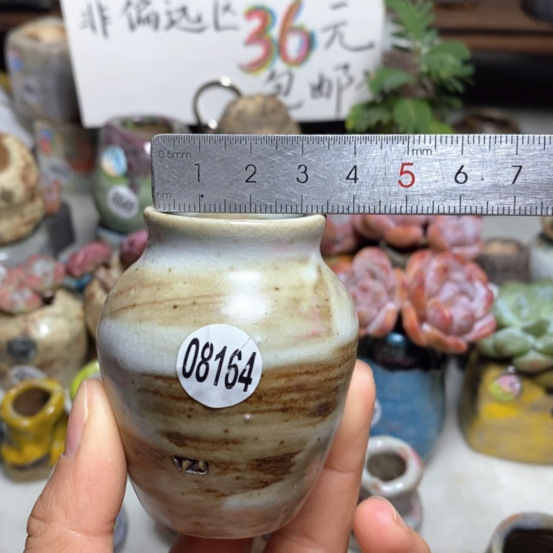 花盆拍5送一个小礼物