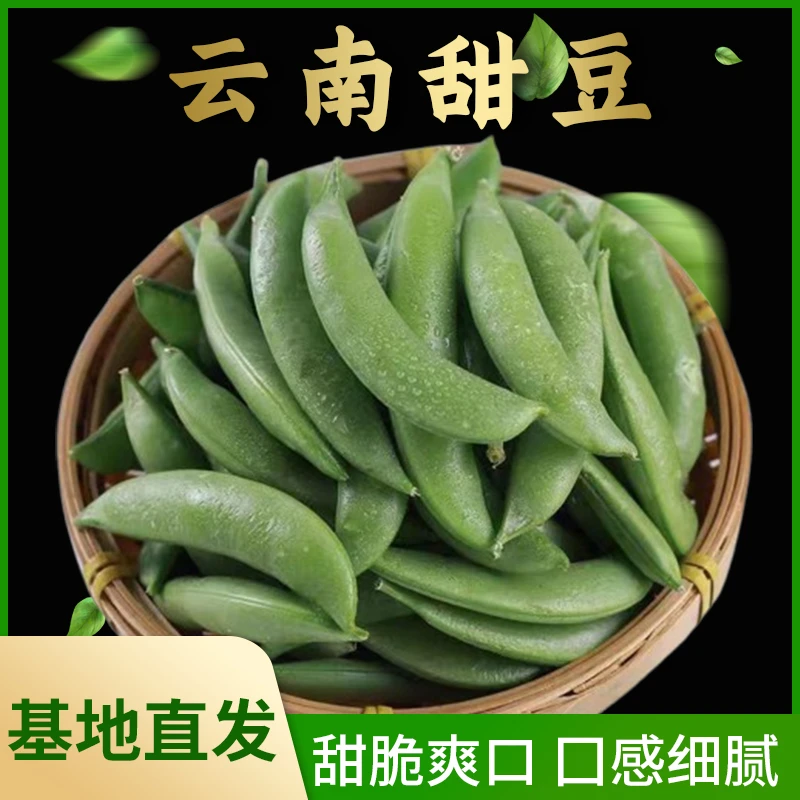 云南基地新鲜现摘带壳甜豆清甜脆嫩当季蔬菜
