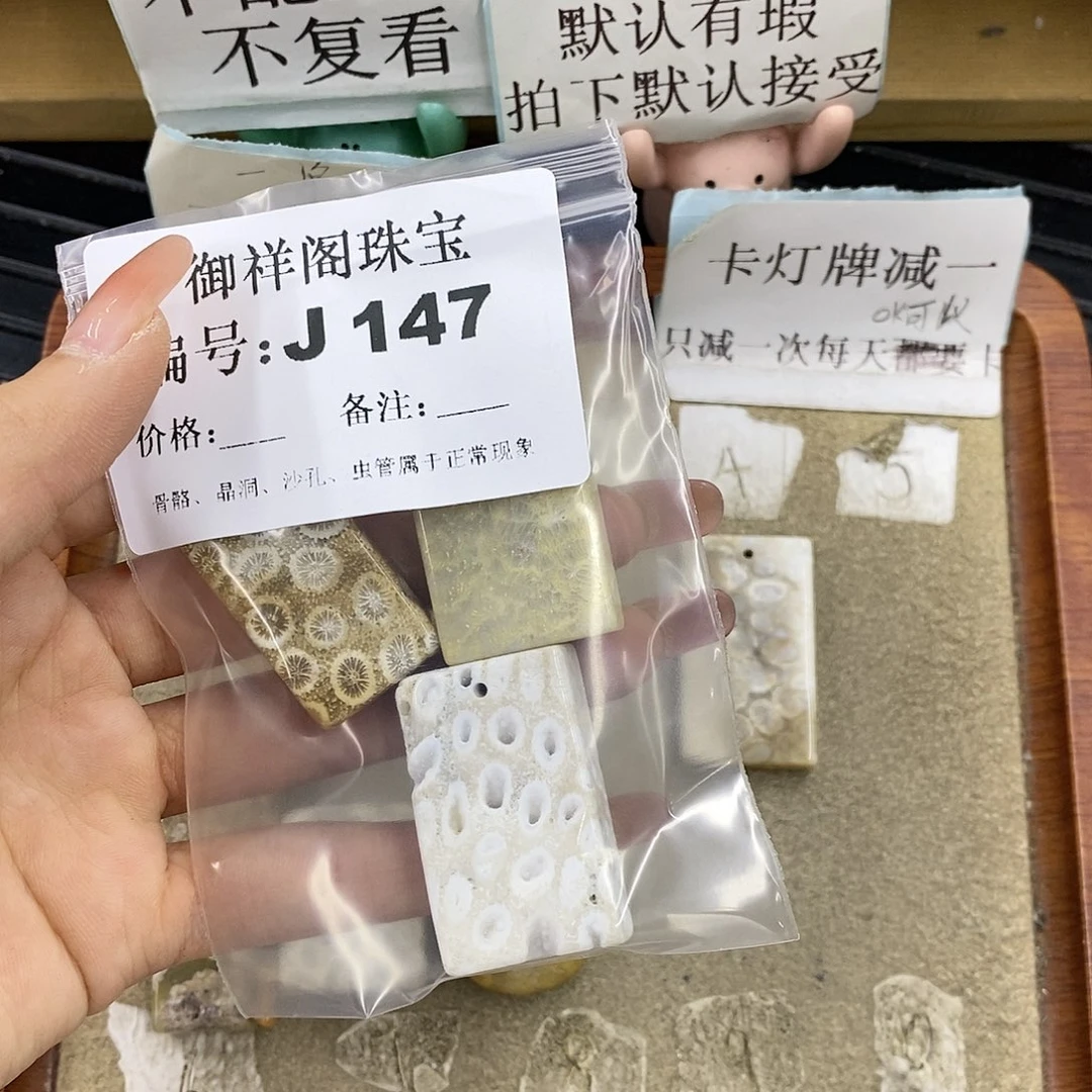 硅化珊瑚（珊瑚玉）未镶嵌颈饰沉***熊