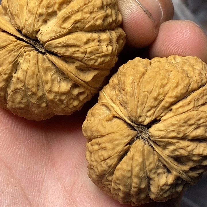 文玩核桃把件云南铁核桃B42