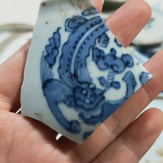 瓷片瓷片瓷片瓷片瓷片瓷片