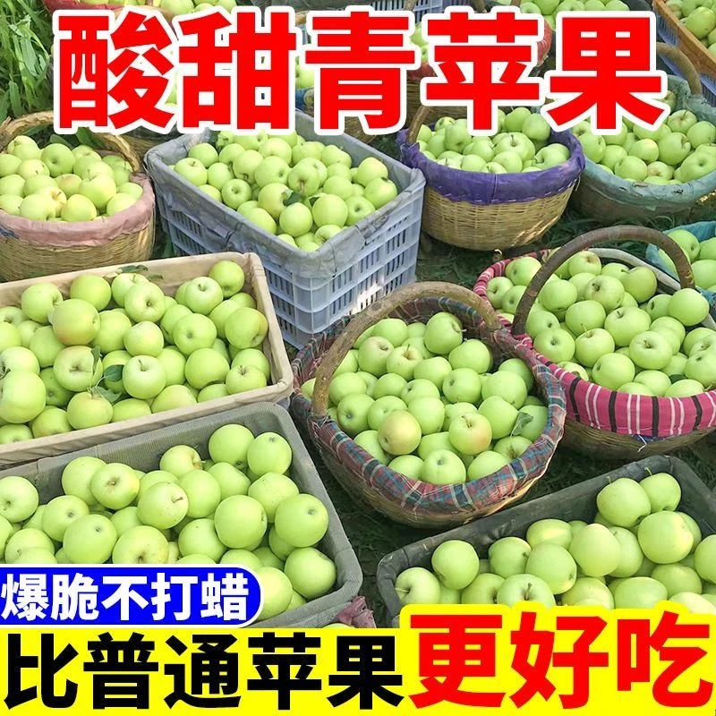 【大沙河】现摘新鲜青苹果应季水果酸甜脆爽可口