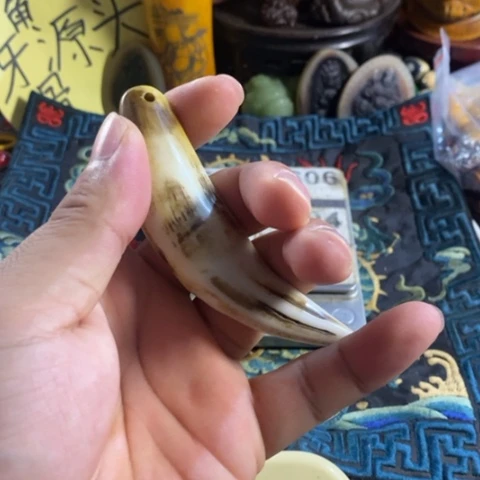 大哥专拍链接一号