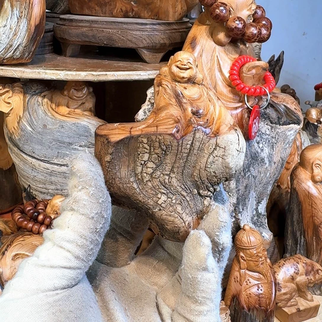 柏木（崖柏）66666666666