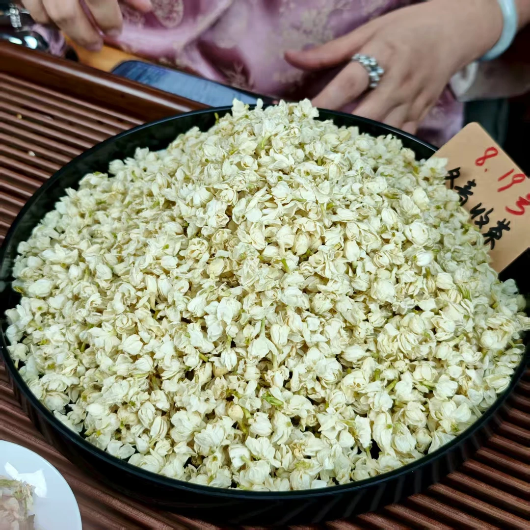 2025头茬茉莉雪球 鲜甜甘爽 广西横县双瓣茉莉 无梗无硫冬青收茶