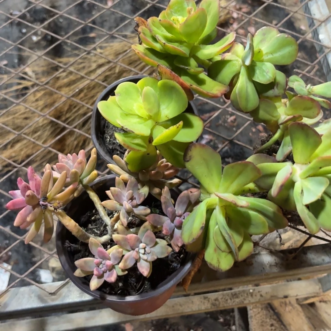 婷***坊三个啊啊啊啊
