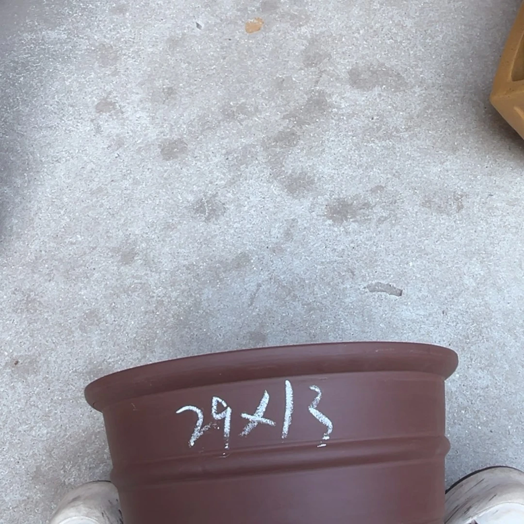 紫砂花盆盆景艺术