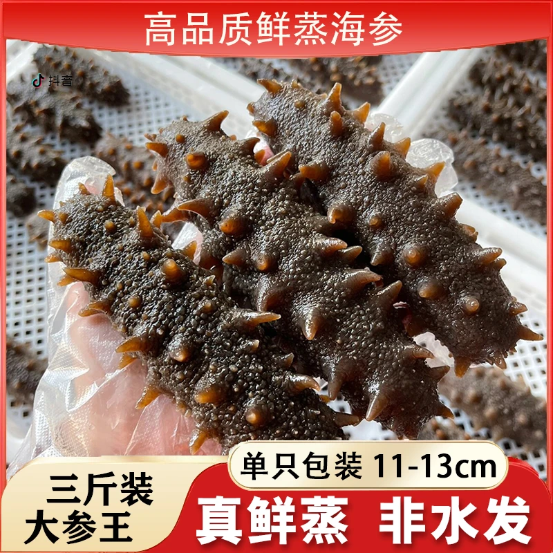 【鲜蒸即食海参】4-6头/盒   2斤送1斤 超大个头 带礼袋 ZB-S