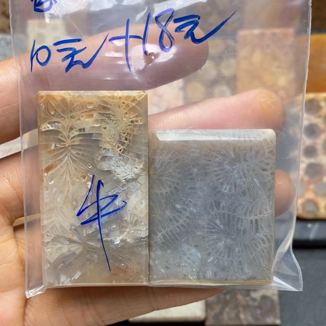 ****=颈饰未镶嵌硅化珊瑚（珊瑚玉）