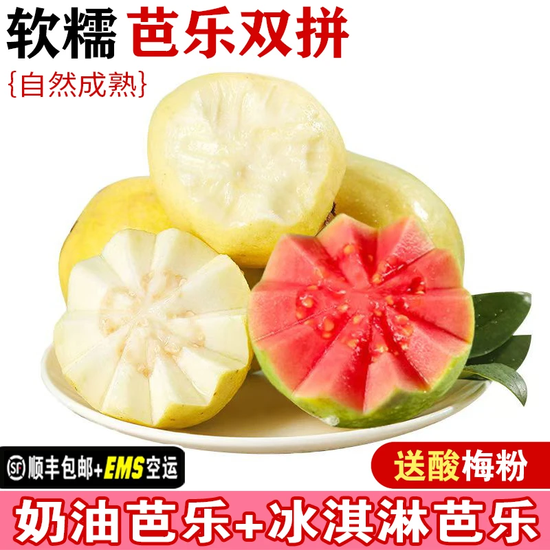 【放软吃】广西红心软芭乐软糯红心番石榴新鲜水果白心奶油芭乐果