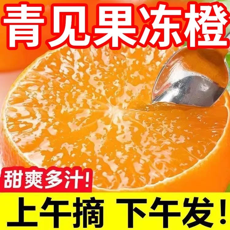 【青见果冻橙】正宗四川眉山青见果冻橙新鲜应季水果包邮