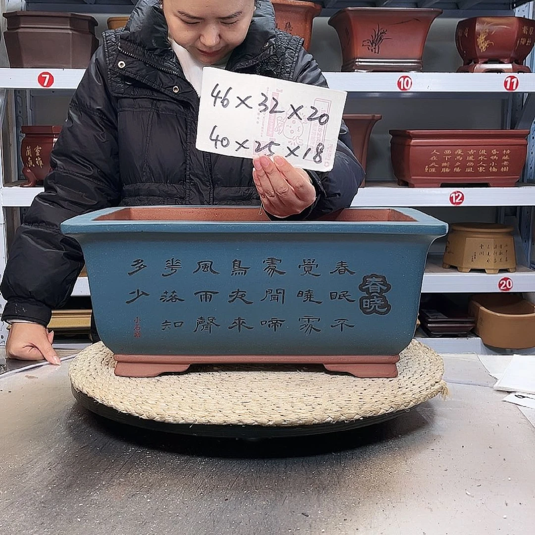 紫砂花盆紫砂花盆里