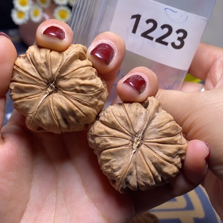 核桃45尺➕全品南瓜墩