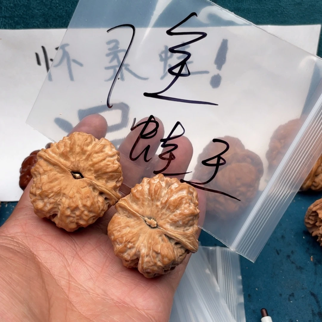 核桃567573573375573375