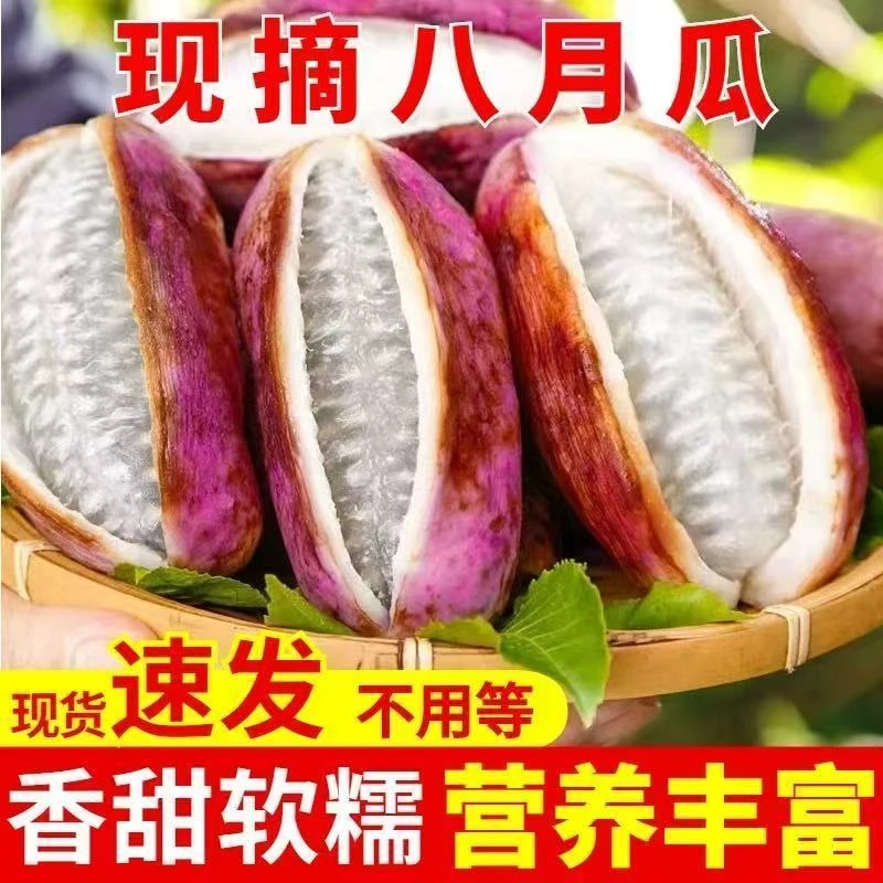 现摘八月瓜香甜软糯八月炸鲜果现发
