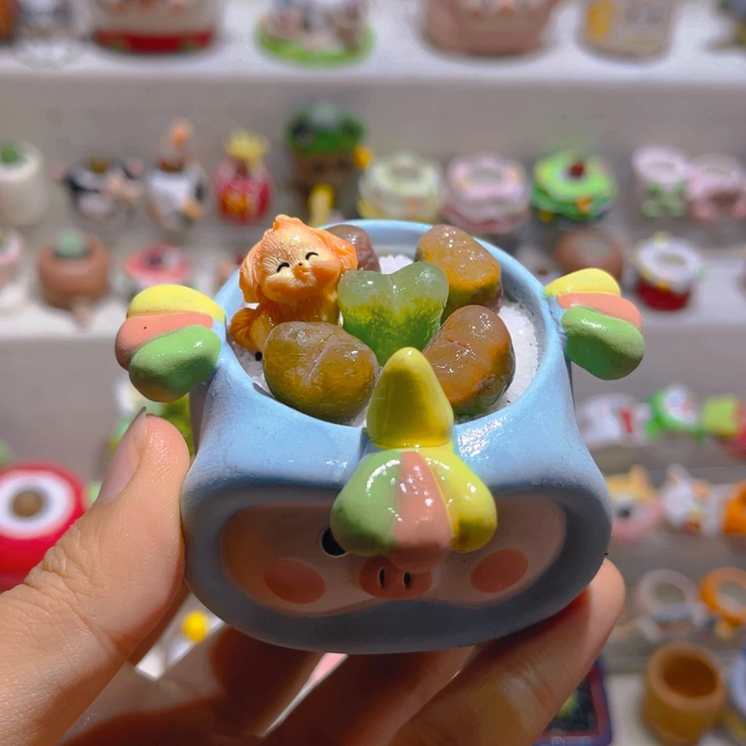 011高端多肉带盆土一套48