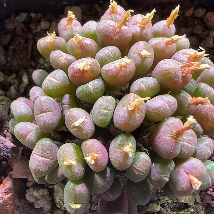 哈哈哈哈哈哈哈。 882