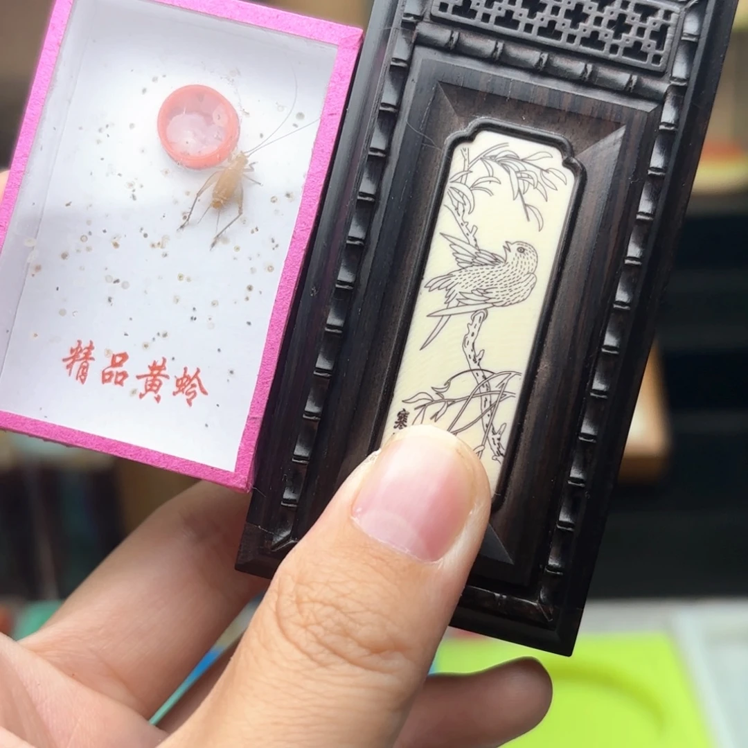 哈哈哈哈哈哈哈哈哈
