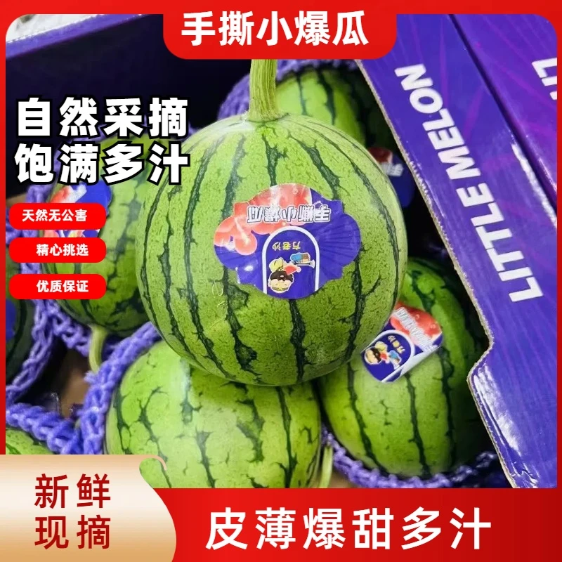 【麒麟手撕小爆瓜】海南新鲜高山美都冰糖麒麟瓜当季手剥皮爽脆清甜多汁包邮到家