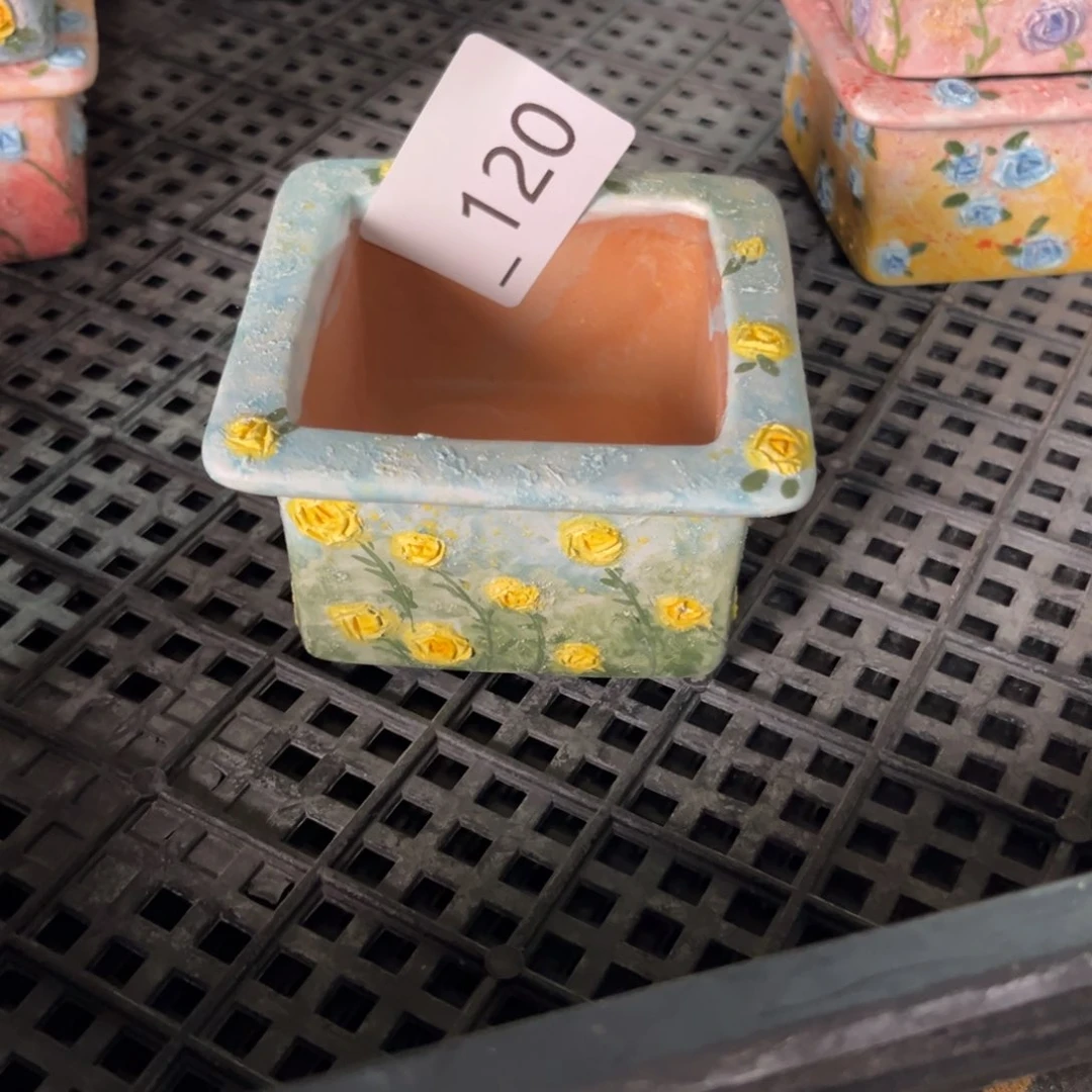 樱****120多肉花盆   1个