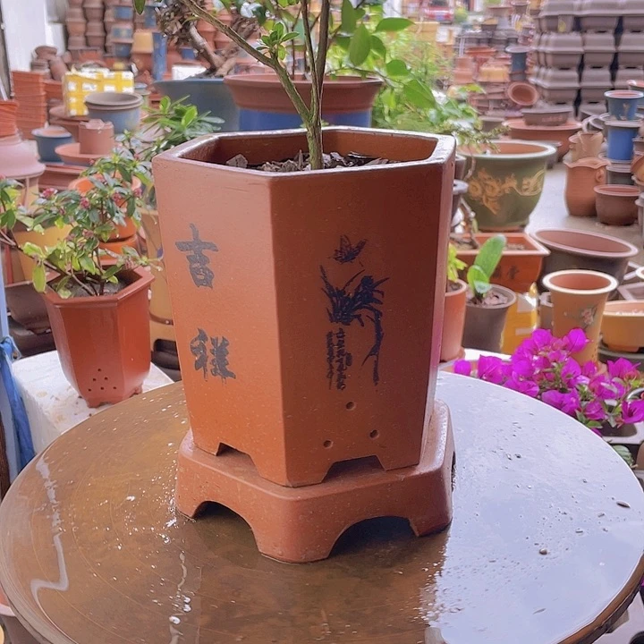 紫砂宜兴紫砂红如意六方加拖小