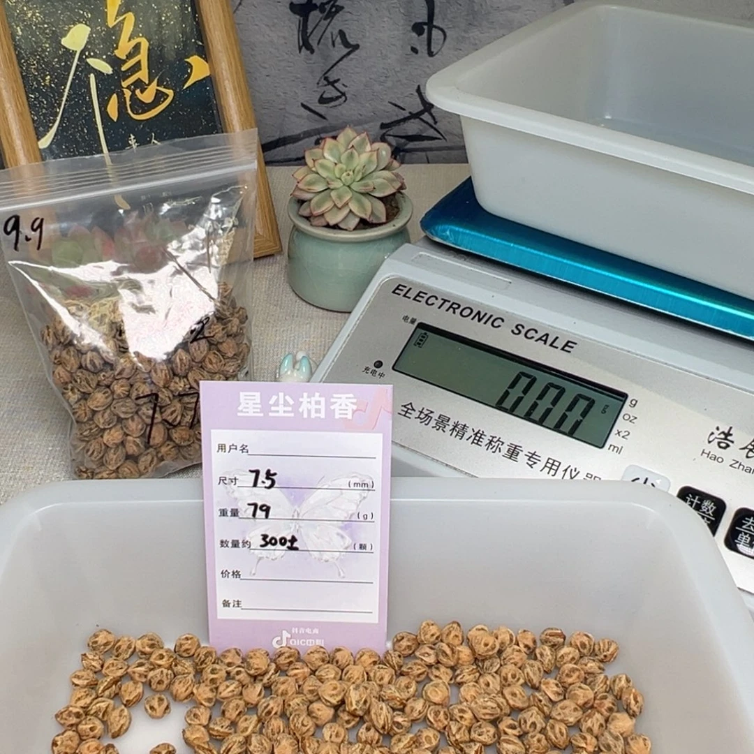 柏香籽/百香籽吊坠