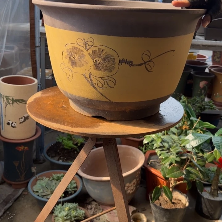 宜兴紫砂花盆花盆45黄种树