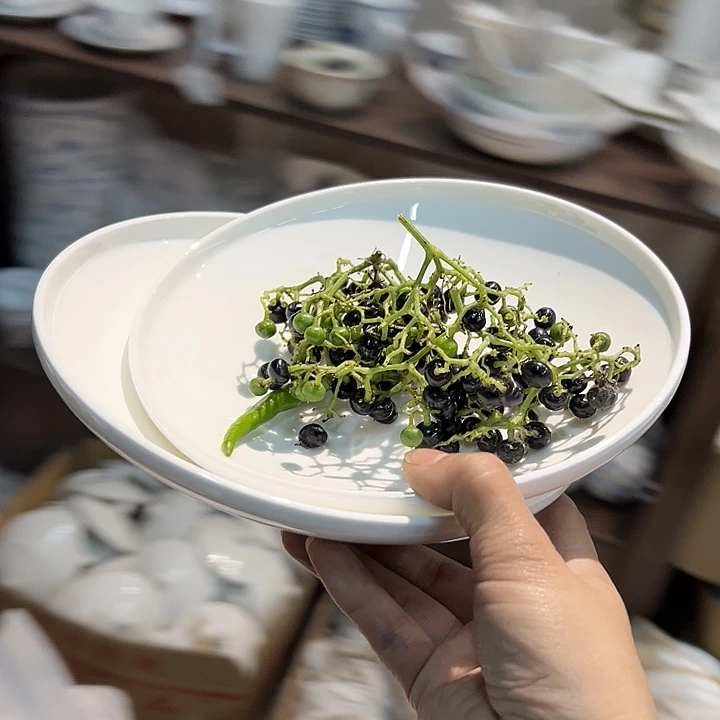 外贸尾单库存尾货护盘一对口径20.5