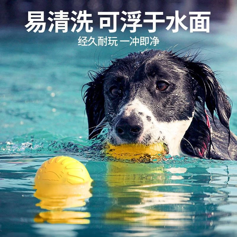 EVA宠物玩具咬不烂狗狗飞盘 狗玩具自嗨解闷宠物球用品狗拉环